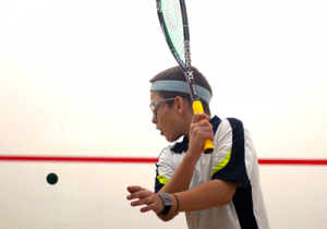 Squash Summer squash summer intensity norwalk westport ct